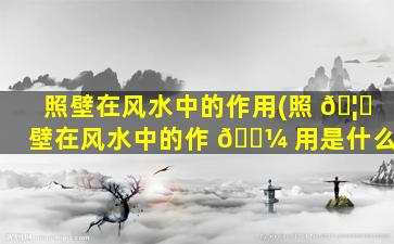 照壁在风水中的作用(照 🦟 壁在风水中的作 🌼 用是什么)